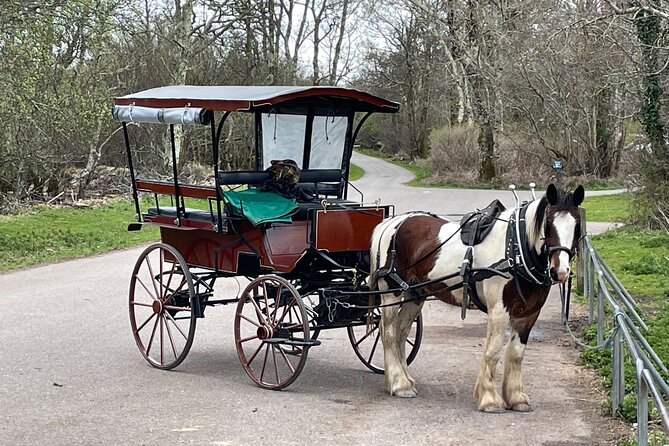 Horse-Drawn Carriage Tours in Killarney - Flexibility, Booking, and Cancellation