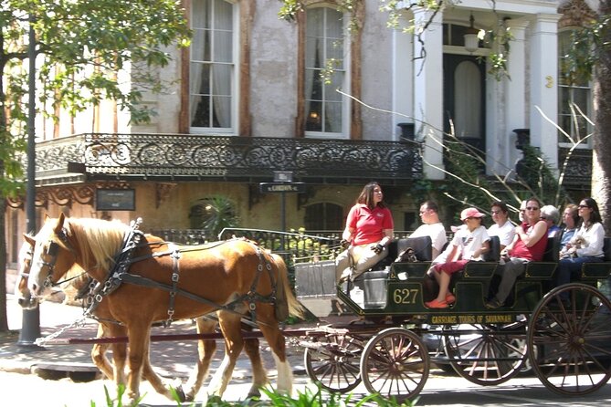 Horse Drawn Daytime Group Narrated Historic Overview Tour - Insights from Guides: Knowledge and Personality