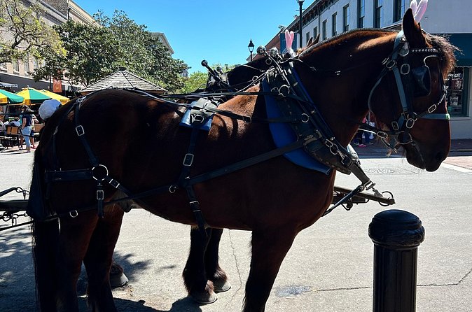 Horse Drawn Daytime Group Narrated Historic Overview Tour - Value and Recommendations for This Savannah Tour