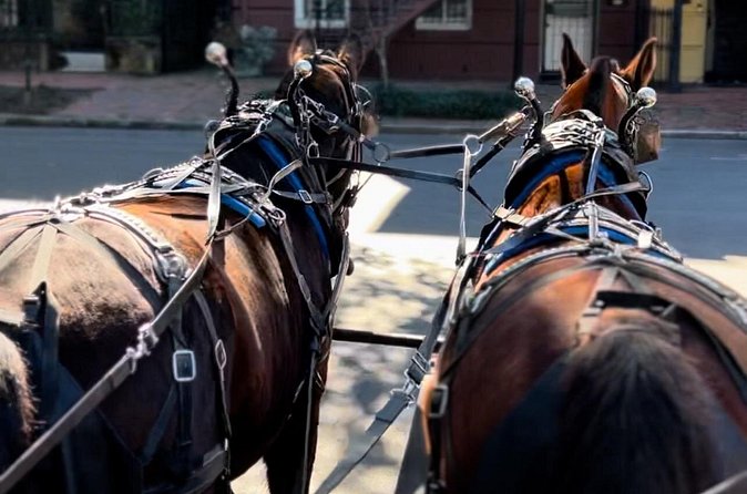 Horse Drawn Daytime Group Narrated Historic Overview Tour - Frequently Asked Questions