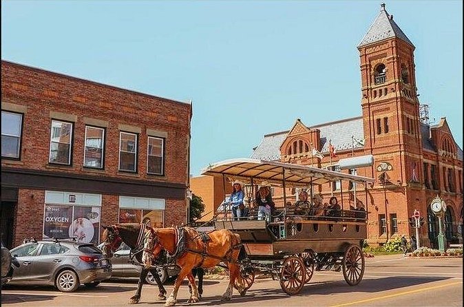 Horse Drawn Historical Guided Tour - The Experience of the Carriage Ride
