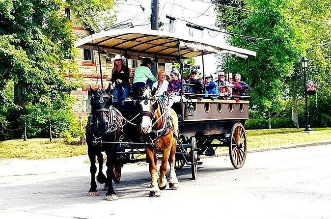 Horse Drawn Historical Guided Tour - Comparing This Tour with Other Charlottetown Activities