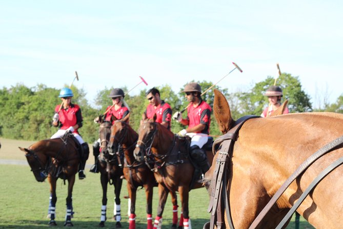Horse & Polo in Windsor, UK - Discover the Royal Sport in Windsor: Horse & Polo Tour