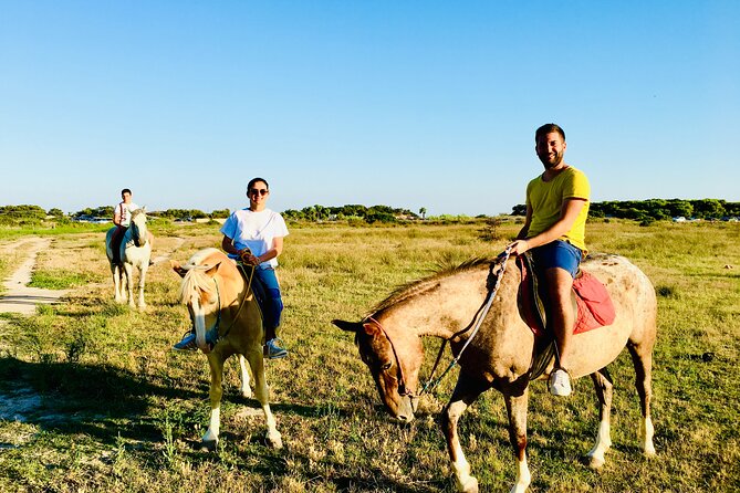 Horse ride in a Salento Nature Reserve with transfer from Lecce - Discover the Charm of a Horseback Ride in Salentos Nature Reserve for Just $117.40
