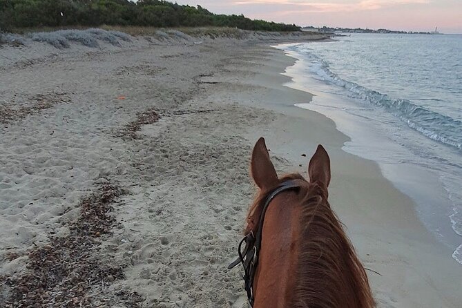 Horse ride in a Salento Nature Reserve with transfer from Lecce - Flexibility and Practical Details of the Tour
