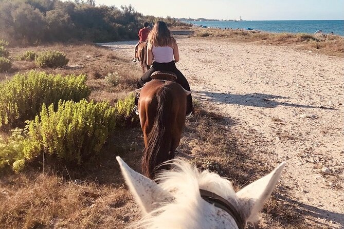 Horse ride in a Salento Nature Reserve with transfer from Lecce - The Experience Provider: Salento Experience