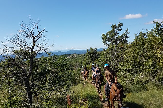 Horse ride in Haute Provence Luberon and Forcalquier - How the Guides Enrich the Horseback Experience