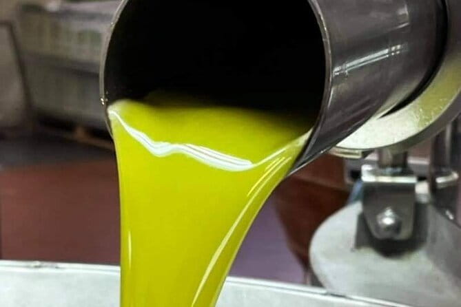 Horse ride, Olive Oil and local foods tasting in a Tuscan farm - Key Points