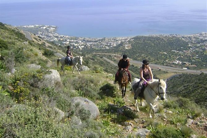 HORSE RIDING 1.5 hours mountains from area Hersonissos CRETE - Meeting Point and Logistics in Crete