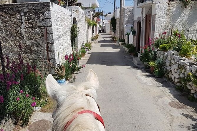 HORSE RIDING 1.5 hours mountains from area Hersonissos CRETE - Frequently Asked Questions