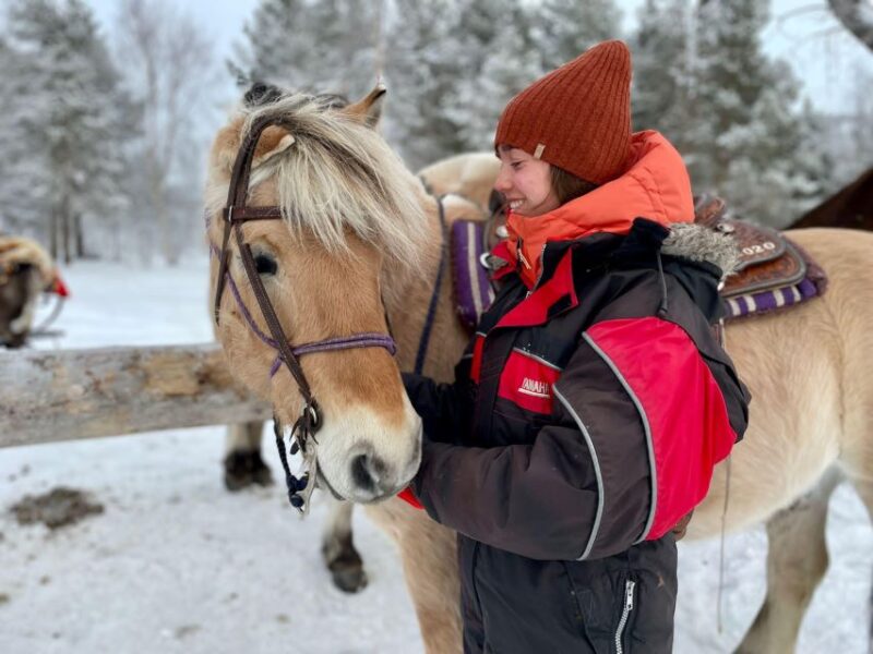 Horse riding and dining experience - The Wilderness Shelter and Three-Course Meal