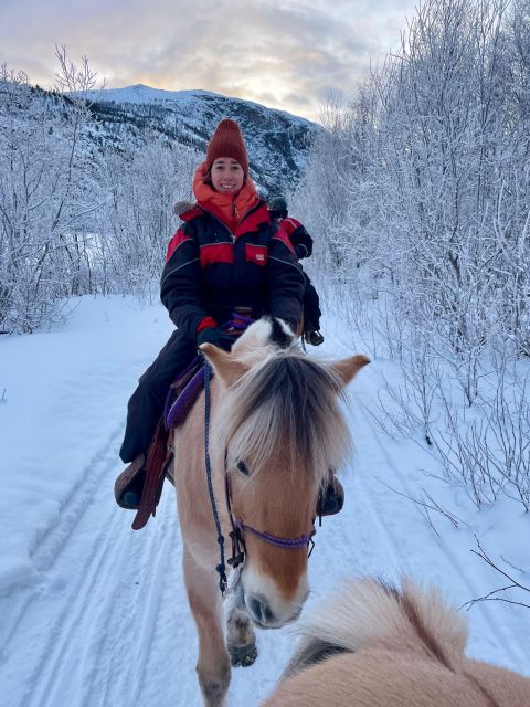 Horse riding and dining experience - The Fjord Horse: Norway’s Sturdy Companion