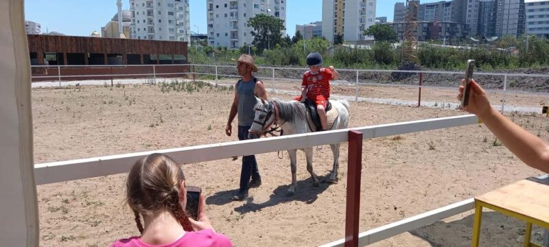 Horse Riding and Training Experience on a Farm in Antalya - What to Expect During the Riding and Safari Activities