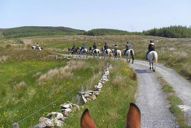 Horse riding - Burren Trail. Lisdoonvarna, Co Clare. Guided. 3 hours. - Scenic Views of Slieva Eva and the Connemara Mountain Ranges