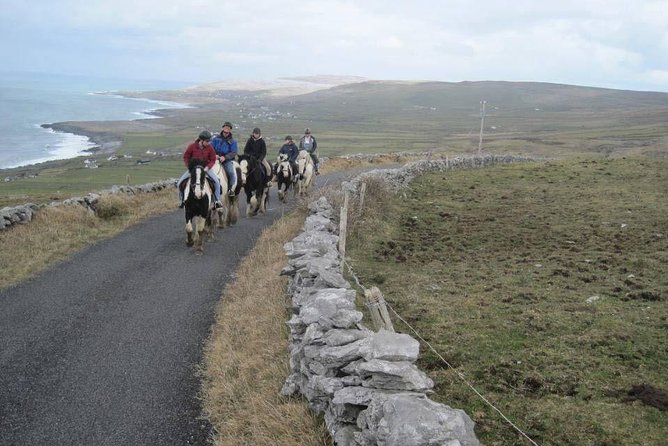 Horse riding - Burren Trail. Lisdoonvarna, Co Clare. Guided. 3 hours. - Who Will Appreciate This Horseback Tour?