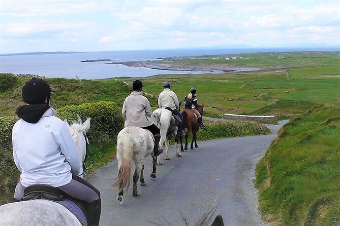 Horse riding - Dirt Trek Trail. Lisdoonvarna, Clare. Guided. 1 hour. - Key Points