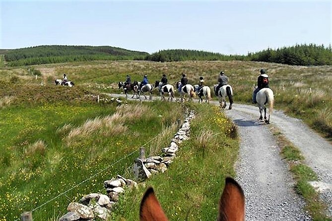 Horse riding - Dirt Trek Trail. Lisdoonvarna, Clare. Guided. 1 hour. - Meet Your Guide: Friendly and Knowledgeable