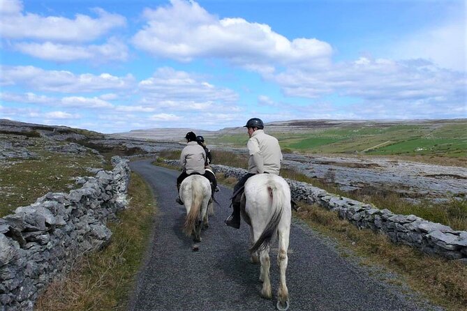 Horse riding - Dirt Trek Trail. Lisdoonvarna, Clare. Guided. 1 hour. - Physical Requirements and Practical Tips