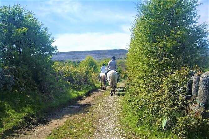 Horse riding - Dirt Trek Trail. Lisdoonvarna, Clare. Guided. 1 hour. - Booking and Cancellation Policies