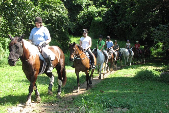 Horse riding excursion - Safety, Accessibility, and Additional Options