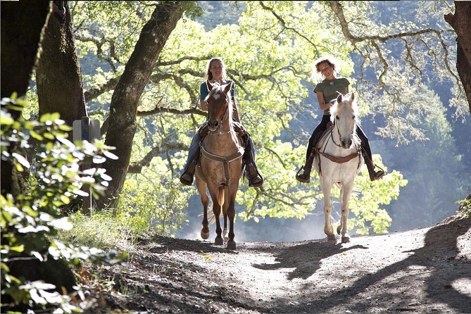 Horse riding excursion - Why This Horse Riding Excursion Stands Out in Calabria