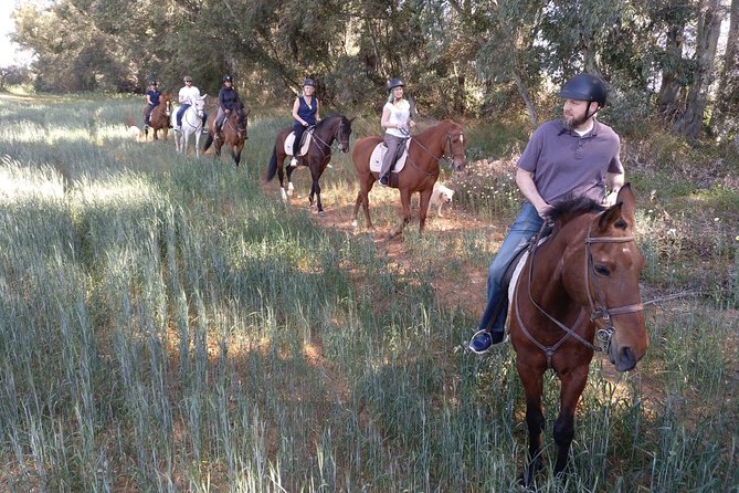 Horse Riding Excursion from Seville - Riding Through Pine Forests and Countryside Trails