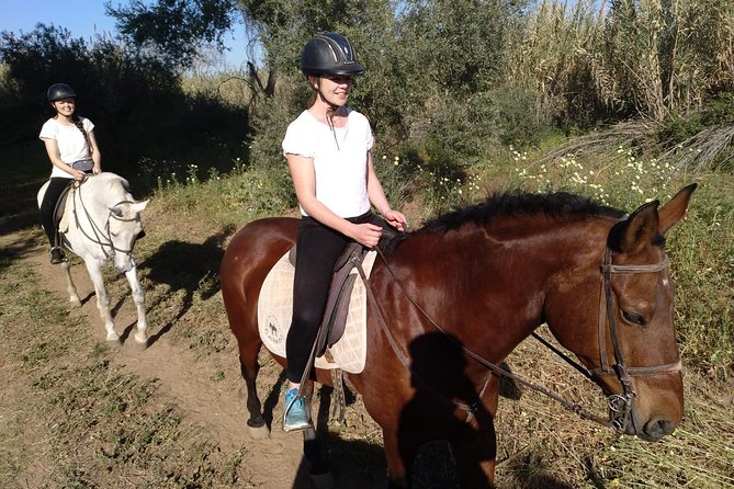 Horse Riding Excursion from Seville - Scenic Views of Olive Groves and Orange Trees