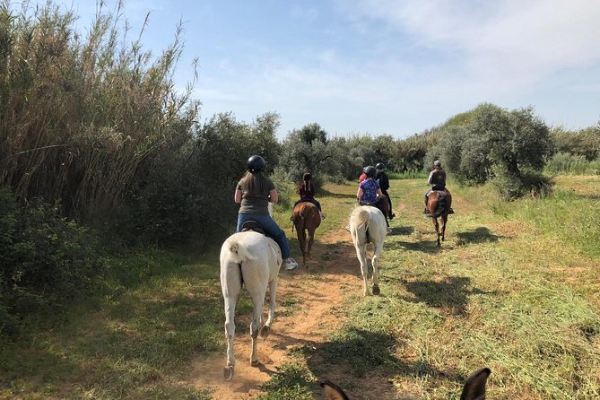 Horse Riding Excursion from Seville - Visiting the Family-Run Stable and Facilities