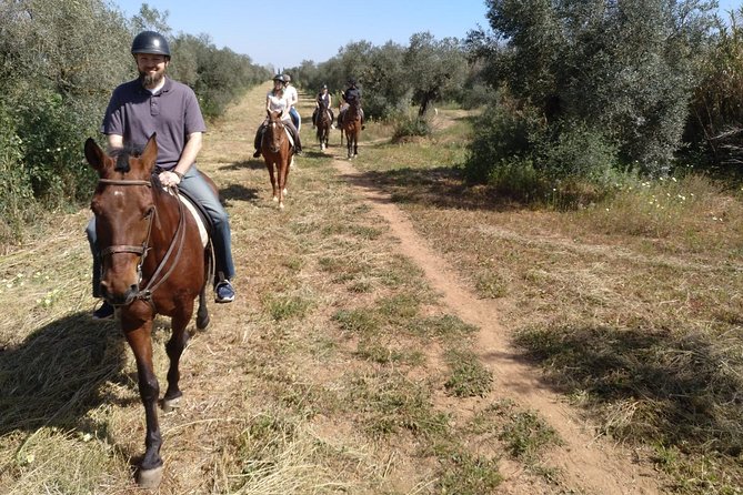 Horse Riding Excursion from Seville - Logistics and Additional Options