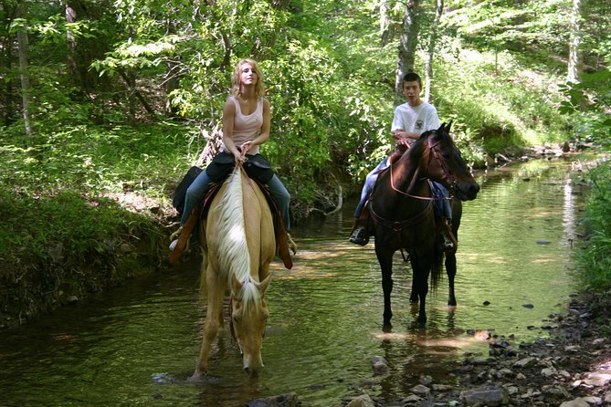 Horse Riding Experience in Marmaris with Transfer - Exciting Horseback Riding in Marmaris with Comfortable Transfers