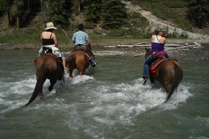 Horse Riding Experience in Marmaris with Transfer - Key Points