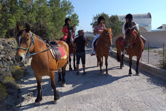 Horse Riding--Explore secret Thera - Hiking Up to a Scenic Caldera Viewpoint