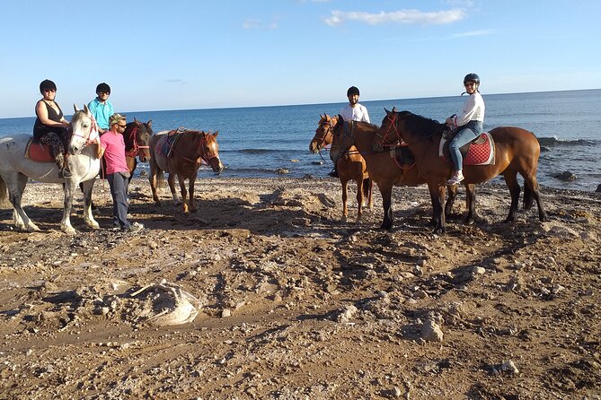 Horse Riding--Explore secret Thera - The Role of the Local Guide in Enhancing the Experience