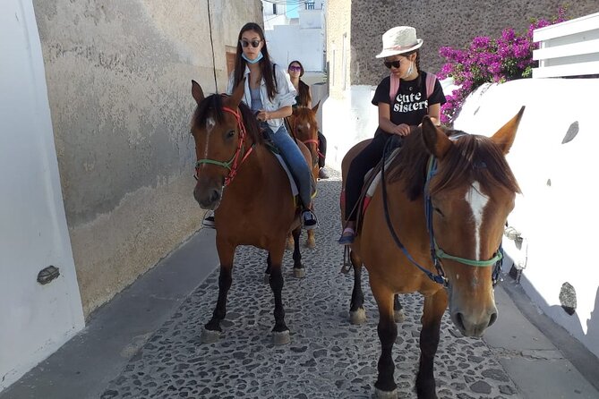 Horse Riding--Explore secret Thera - Practical Details: Meeting Point, Group Size, and Booking