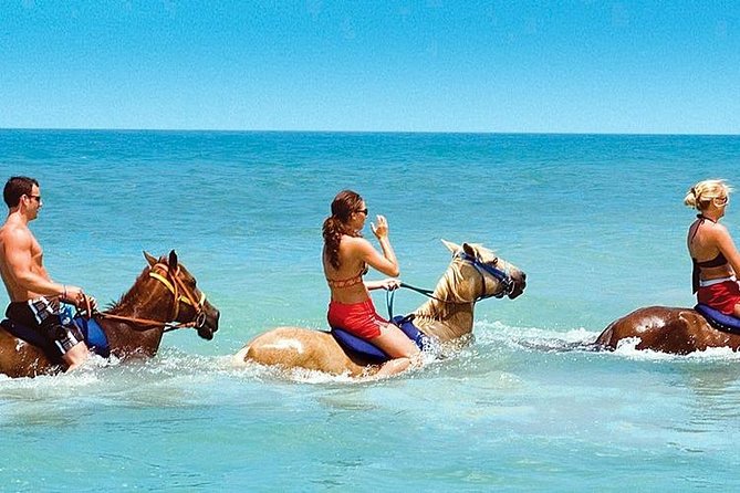 Horse Riding From Kusadasi Port / Hotels - Key Points
