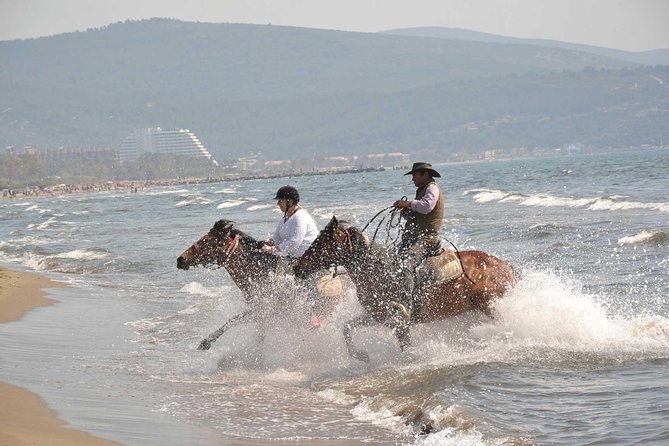 Horse Riding From Kusadasi Port / Hotels - Starting Point and Transportation Logistics
