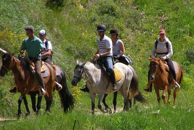 Horse Riding From Kusadasi Port / Hotels - The Scenic Route to Pamucak Beach