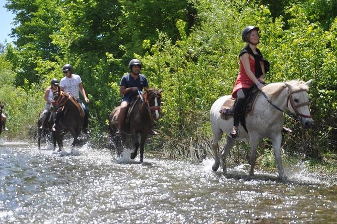 Horse Riding From Kusadasi Port / Hotels - Why Choose This Horseback Riding Tour in Kusadasi?