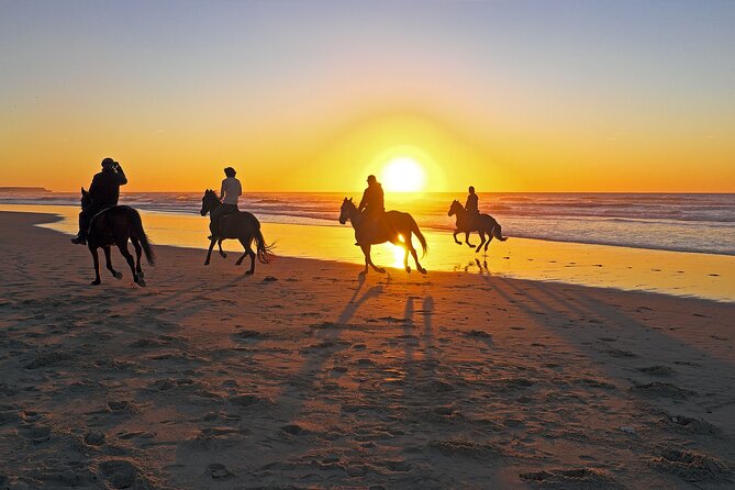 Horse Riding in Antalya,Belek,Lara Beach(Sunrise,Sunset,Day Time) - Sunset Horseback Riding: Forest and Beach Combo