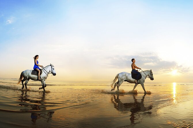 Horse Riding in Antalya,Belek,Lara Beach(Sunrise,Sunset,Day Time) - Comparing the Forest and Beach Rides