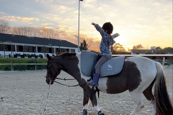 Horse Riding in Aveiro - Ílhavo - Convenient Meeting Point in Coimbra