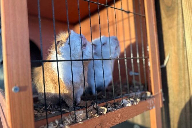 Horse Riding in Aveiro - Ílhavo - The Landscape and Environment