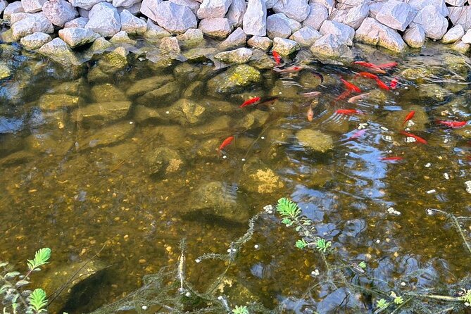 Horse Riding in Aveiro - Ílhavo - The Review Highlights: What Makes This Tour Special