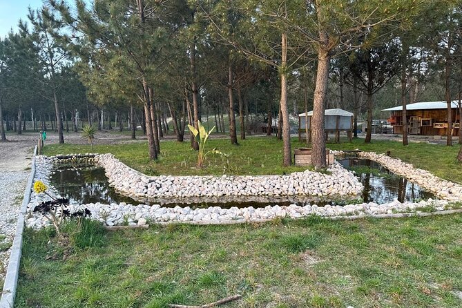 Horse Riding in Aveiro - Ílhavo - Suitable for Different Types of Participants