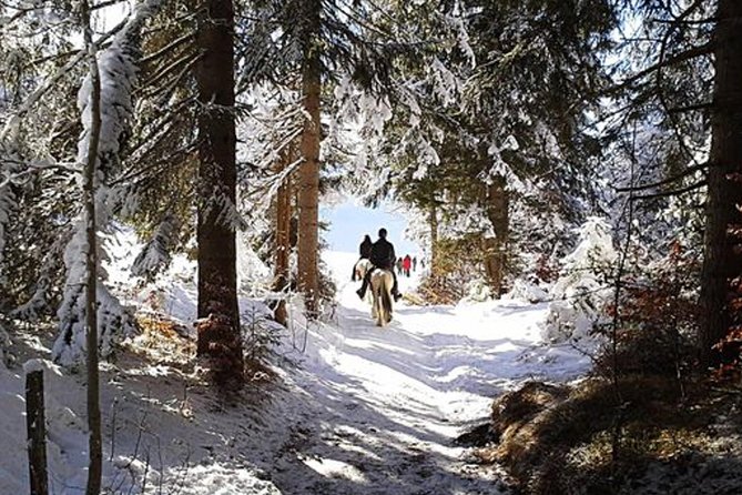 Horse Riding in Bled - Unique Horse Riding Excursion in Bled, Slovenia for All Skill Levels