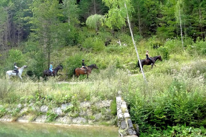 Horse Riding in Bled - Key Points