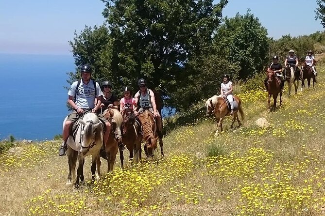 Horse Riding in Fethiye - Horse Riding in Fethiye: An Accessible Adventure Through Pine Forest and Mountain Scenery