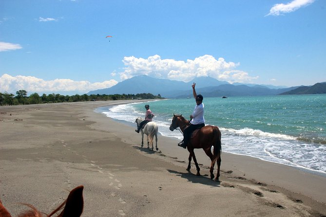 Horse Riding in Fethiye - The Experience for Different Skill Levels