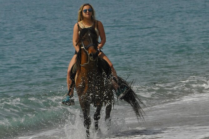 Horse Riding in Manavgat Side Forest and Beach - Horses: Friendly and Well-Cared-For