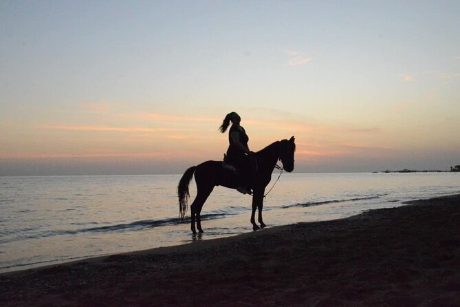 Horse Riding in Manavgat Side Forest and Beach - Safety and Practical Tips